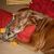 Beverly Fetter's profile image
