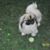 Missy Williams's profile image