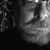Paul Pearson's profile image