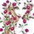 Shelly Brieske's profile image