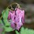 Kristina Plaas's profile image