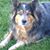 Penny Jensen-Haynes's profile image