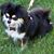 Carole DeSantis DiLorenzo's profile image