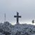 Heather Chaves's profile image