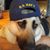 Karen Yochelson's profile image
