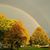 Kimberly Francek's profile image