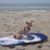 Liz Macklin's profile image