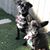 Sharon Baird's profile image