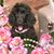 Phyllis A Stevenson's profile image