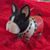 Carol Herstein Thomas's profile image