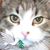 Sandie Reyes-Bolten's profile image