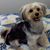 Phillip L. Vavricka's profile image