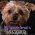 Linda Gencarelli's profile image