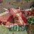 Stephanie Patchen-pilato's profile image