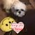Shelly Baum Montgomery's profile image