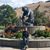 Allison Marple-Schlenker's profile image