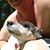 Todd P Davis's profile image