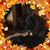 Rose Miller's profile image