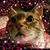 Suzy Scott's profile image