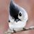 Marilyn Case's profile image