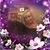 Lois Kieler's profile image