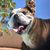 Chris Lopez's profile image