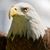 Joe Fratianni's profile image