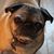 Noah Wullkotte's profile image