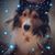 Danette Vecchio's profile image