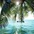 Holly E. Raznoff's profile image