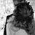 Bailey Myrin's profile image