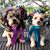 Maureen Pierson's profile image