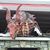 Jose Benavides's profile image