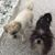 Pam Hollingshead's profile image
