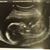 Kyle N Chrissy Graebert's profile image