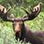 Megan Kenyon's profile image