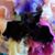 Katrina Payne Steele's profile image