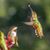 Susan Swan's profile image