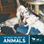 Ami Westberg's profile image