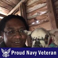 Niki Shelton's profile image