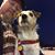 Dave Peterson's profile image