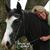 Kimberly Teed's profile image