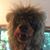 Raymond Cannon's profile image