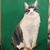 Kathryn Roberts's profile image