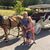 Melissa Gladwell's profile image
