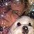 Debbie Caldwell Ledbetter's profile image