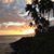 Nina Coppersmith's profile image