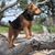 Susan Murray's profile image