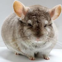 Dee Bunk-Hatch's profile image