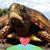 Carrie Mueller's profile image